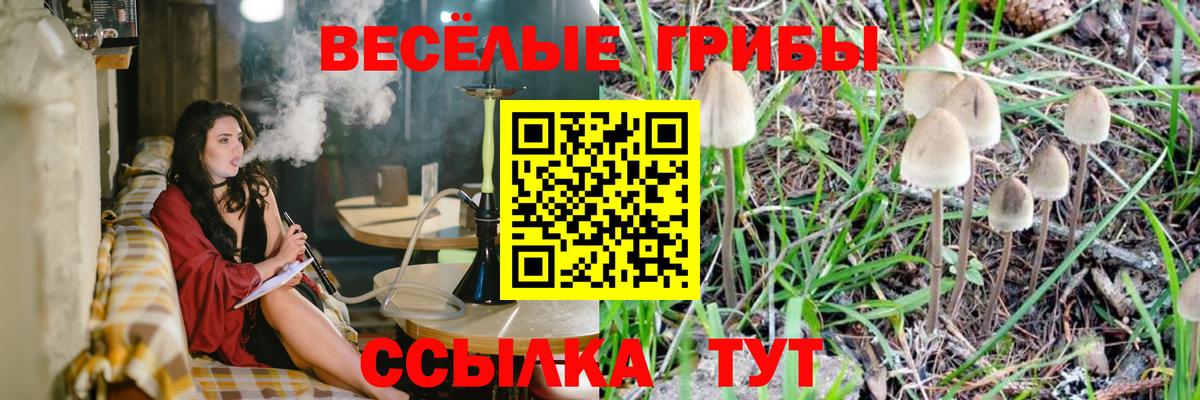 Псилоцибиновые грибы Psilocybine cubensis Благовещенск